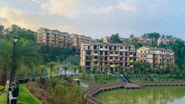 住進陽光雨林，揭秘自然療愈力