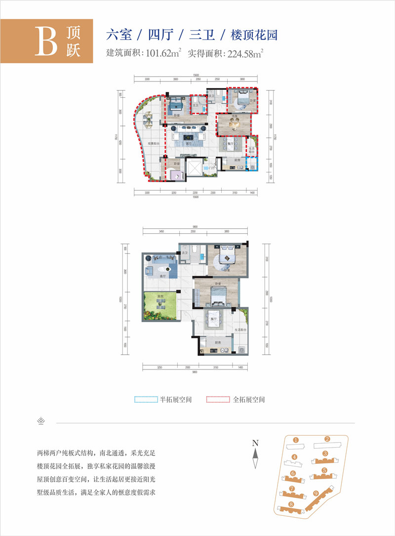 清鳳·椰林陽光清鳳椰林陽光 B底躍